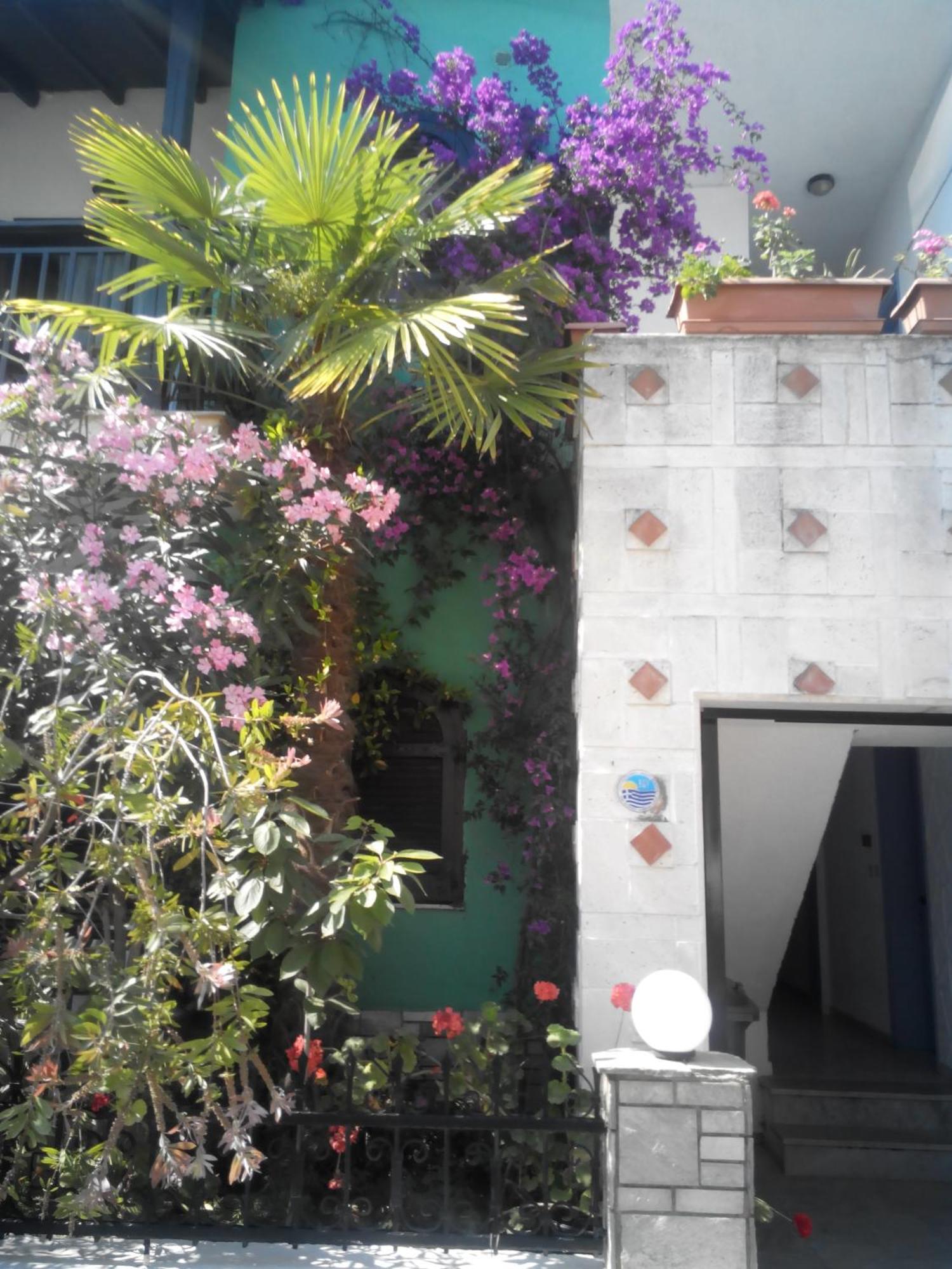Aparthotel Tassos 2 Pefkochori Exterior foto